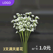 培训机构培训内容？ 培训都是培训什么内容？
