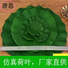 【多肉植物知识】多肉植物开花？