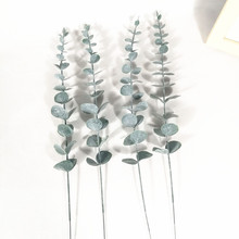 花龟要怎么养，要注意什么？