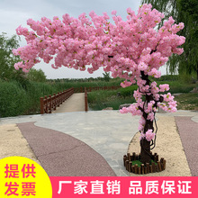 培训IT需要多少钱？ 培训出纳多少钱？培训需要多久？