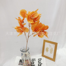 从事海洋类的工作好吗？