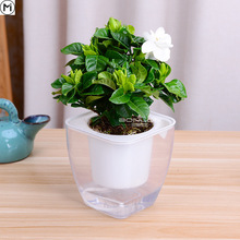全面解析花卉栽培：技巧、管理与最新研究进展