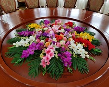 怎样洗黄花菜？怎样洗黄花菜？