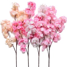 花卉种植培训哪里最好？