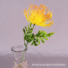 关于花的一些知识