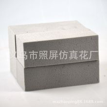家里经常养的绿色植物(家里经常养的绿色植物有哪些)